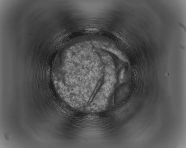 X0000092040745200710100957