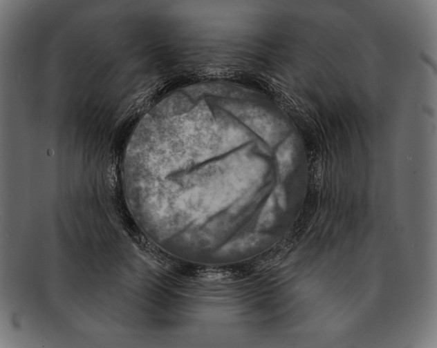 X0000092040746200710100957