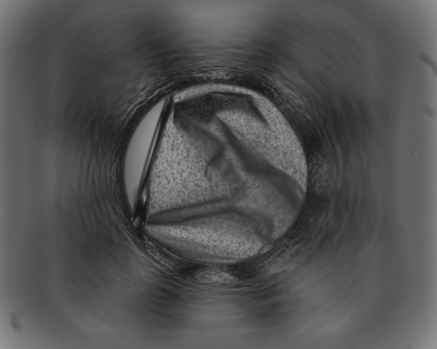 X0000092040747200710100957