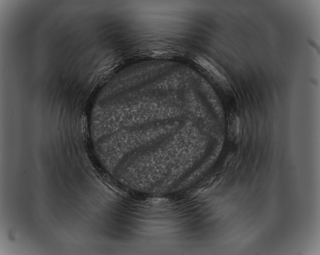 X0000092040748200710100957