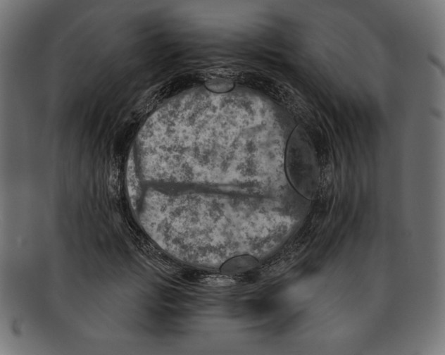 X0000092040749200710100957