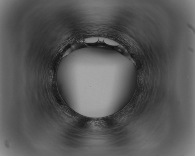 X0000092040752200710100957