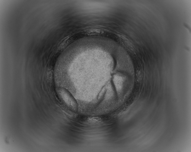 X0000092040753200710100957