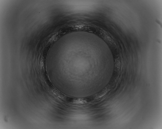 X0000092040754200710100957