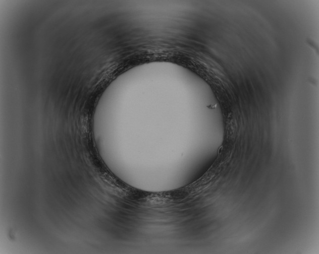 X0000092040756200710100957