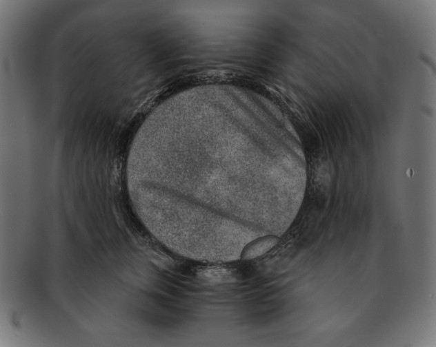 X0000092040759200710100957