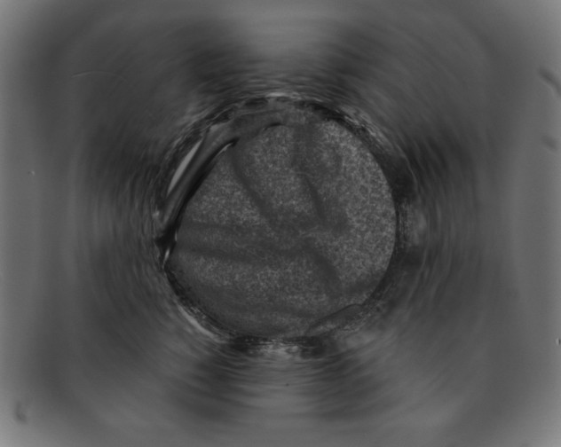 X0000092040760200710100957