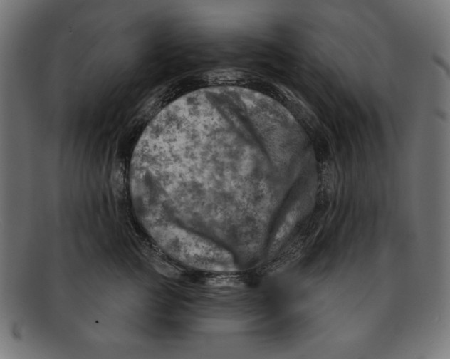 X0000092040761200710100957