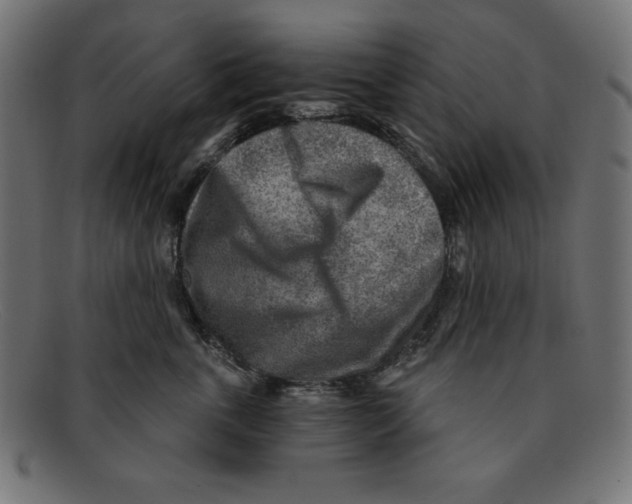 X0000092040763200710100957