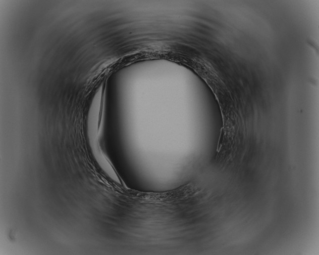 X0000092040773200710100957