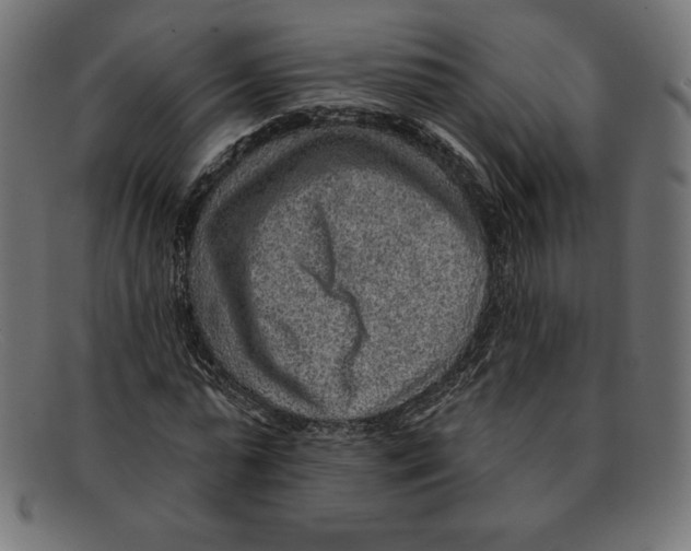 X0000092040775200710100957