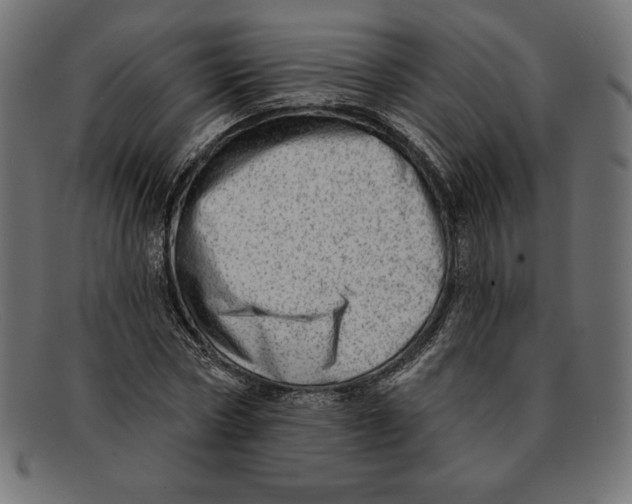 X0000092040778200710100957