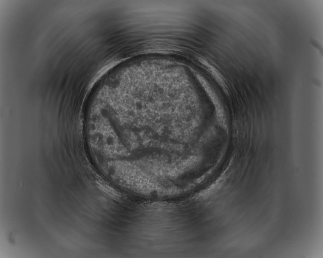 X0000092040779200710100957