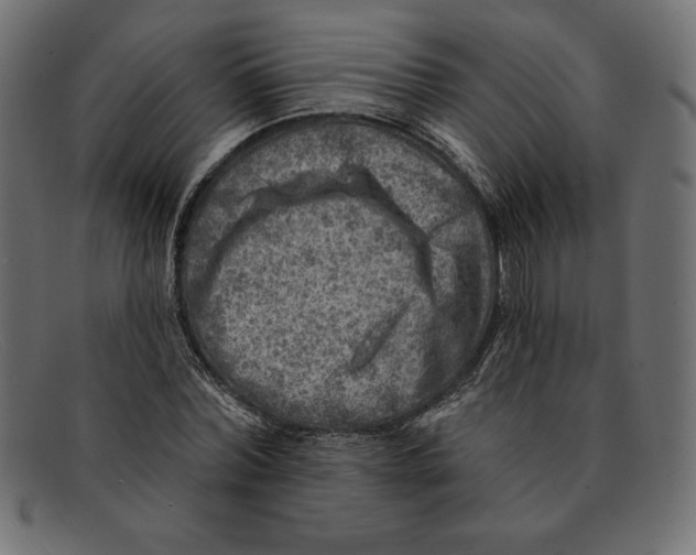 X0000092040780200710100957