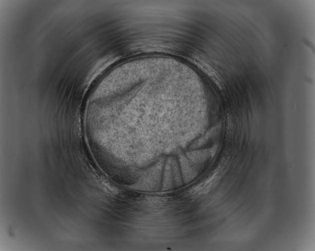 X0000092040782200710100957