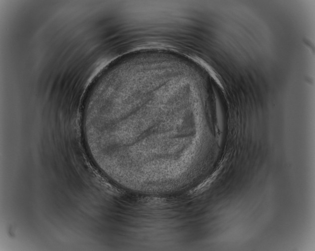 X0000092040783200710100957