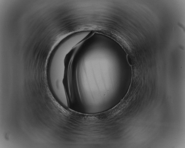 X0000092040784200710100957