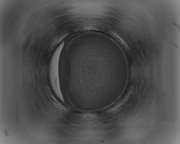 X0000092040785200710100957