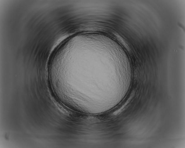 X0000092040787200710100956