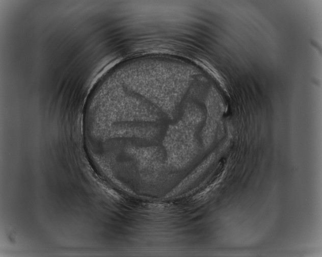 X0000092040790200710100956