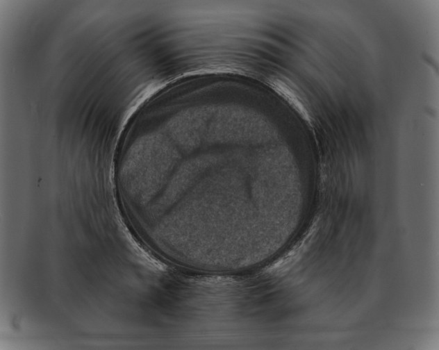 X0000092040797200710100956