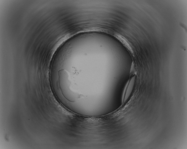 X0000092040805200710100956