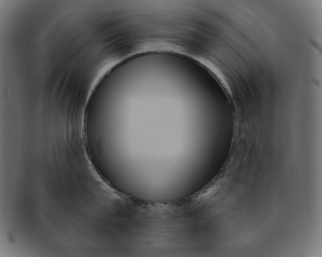 X0000092040815200710100956