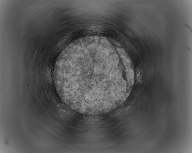 X0000092040819200710100956