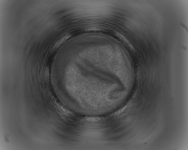 X0000092040825200710100956