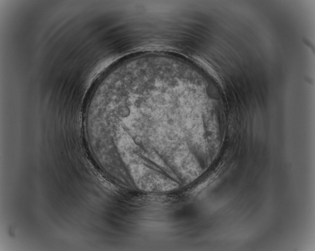 X0000092040831200710100956