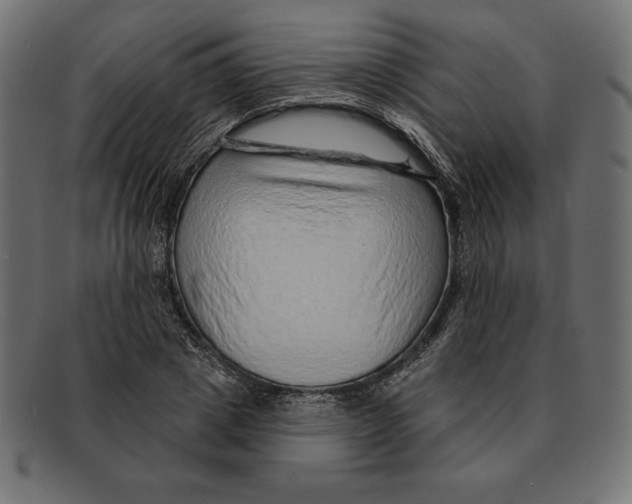 X0000092040833200710100956