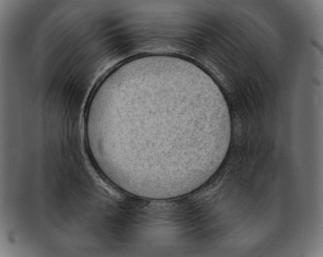 X0000092040840200710100956