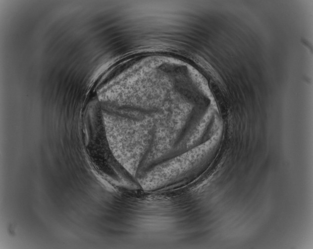 X0000092040842200710100956