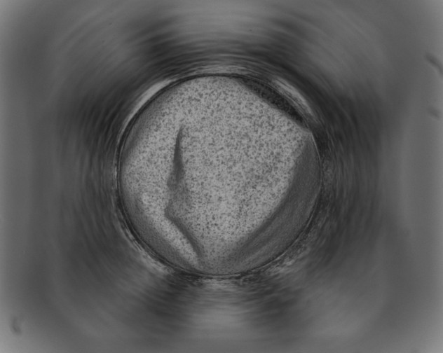 X0000092040852200710100956