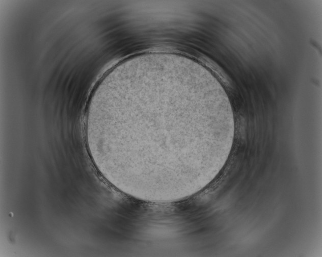 X0000092040856200710100956