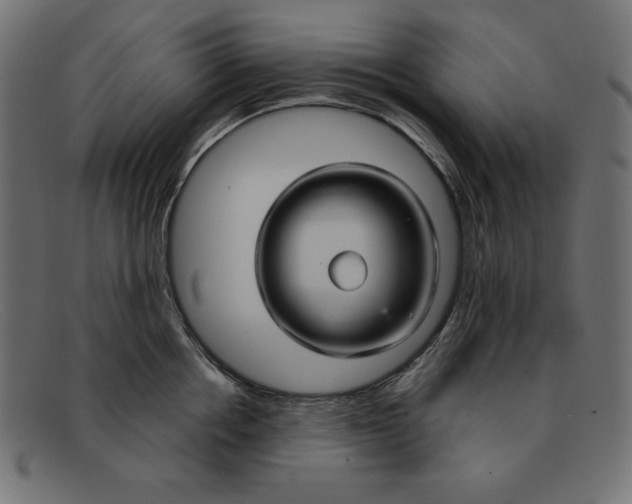 X0000092040858200710100956