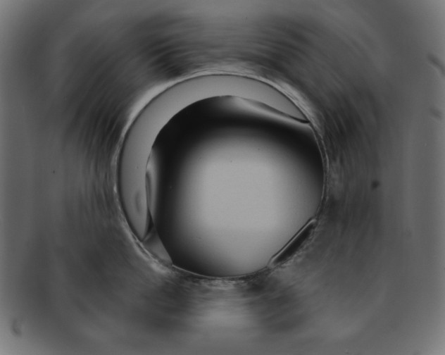 X0000092040862200710100956