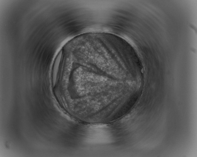 X0000092040864200710100956