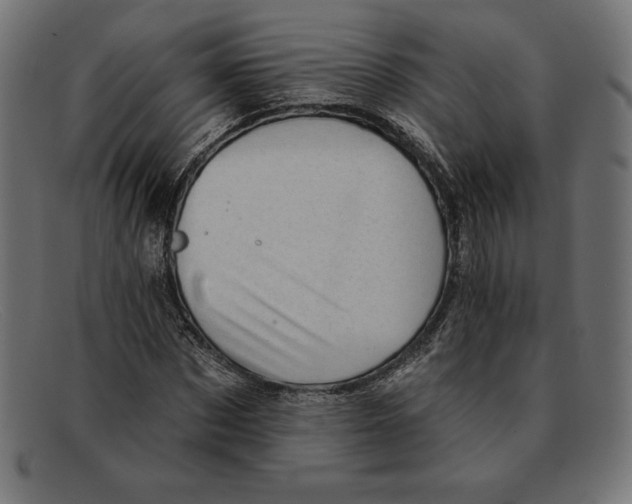 X0000092040873200710100955