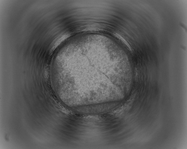 X0000092040874200710100955