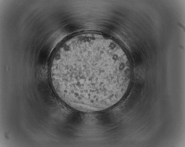 X0000092040875200710100955