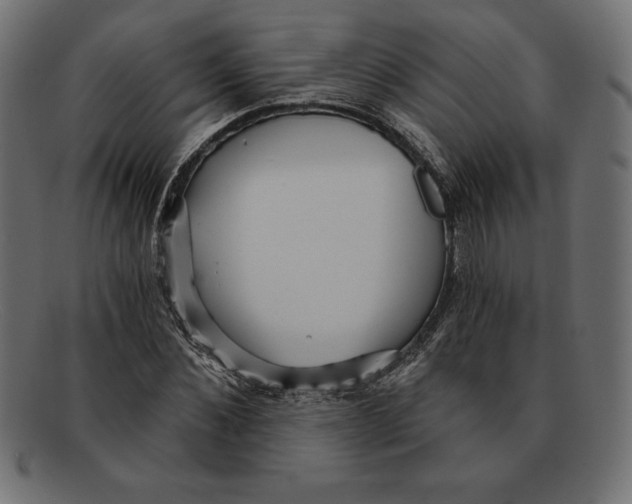 X0000092040876200710100955