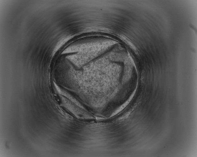 X0000092040877200710100955