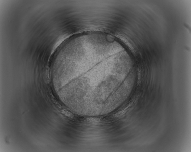 X0000092040878200710100955