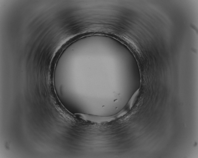 X0000092040880200710100955