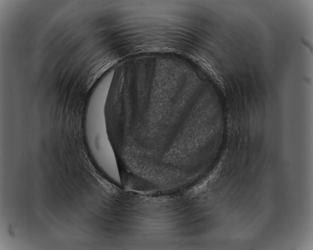 X0000092040881200710100955