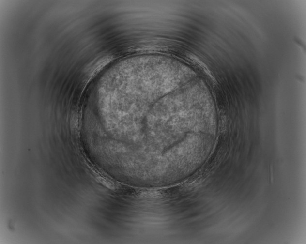 X0000092040882200710100955