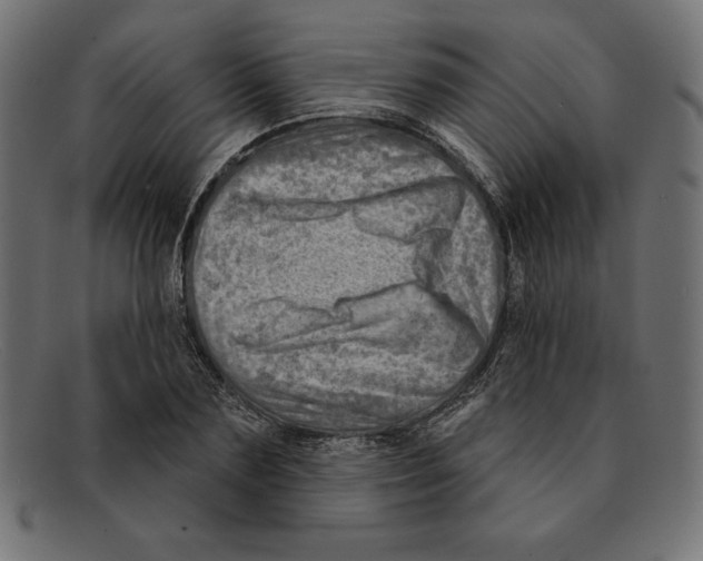 X0000092040883200710100955