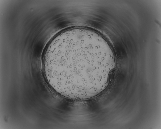 X0000092040887200710100955