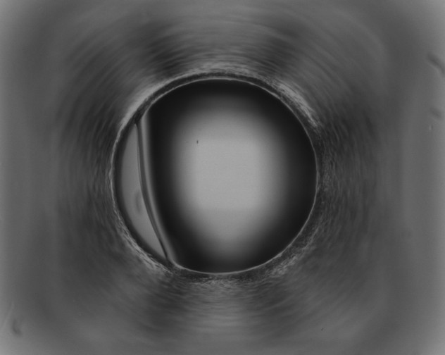 X0000092040888200710100955